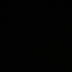 Meet your Posher, Harley